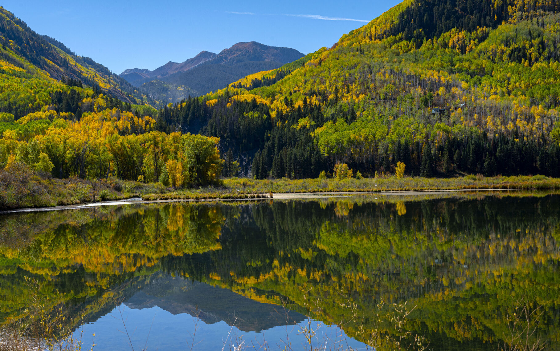 09_29_20 aspens0198.jpg